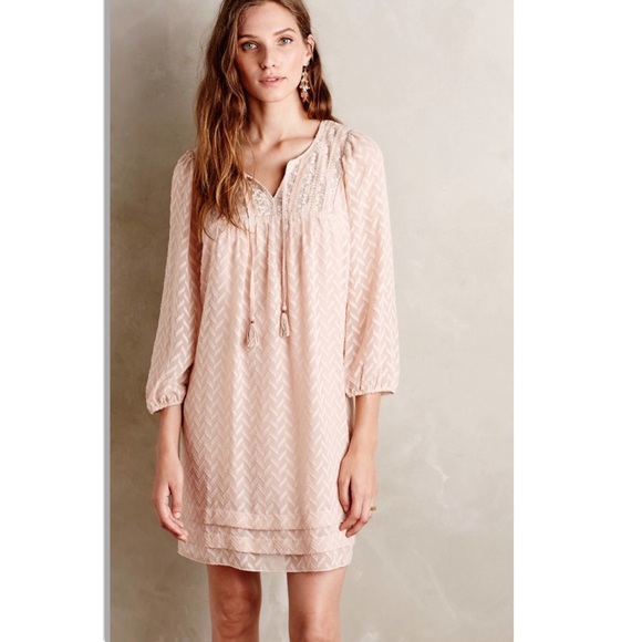 Anthropologie Dresses & Skirts - Anthropologie Blush Lace Mini Anwen Dress NWT